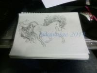 Year of the Horse